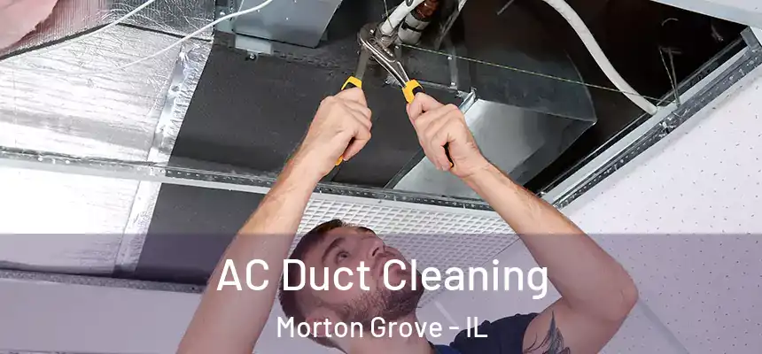  AC Duct Cleaning Morton Grove - IL