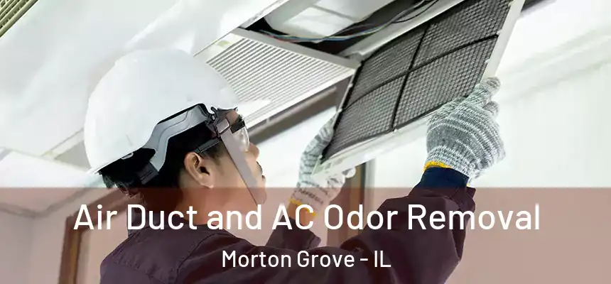  Air Duct and AC Odor Removal Morton Grove - IL
