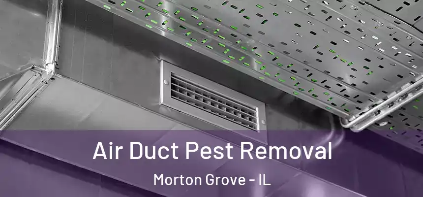 Air Duct Pest Removal Morton Grove - IL