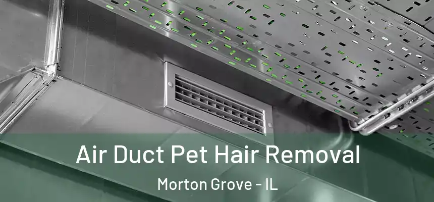 Air Duct Pet Hair Removal Morton Grove - IL