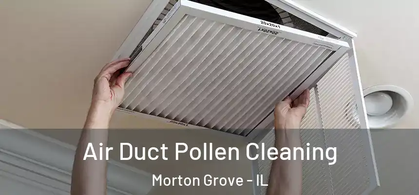  Air Duct Pollen Cleaning Morton Grove - IL