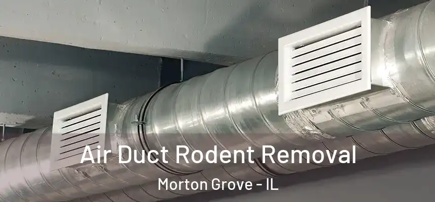  Air Duct Rodent Removal Morton Grove - IL