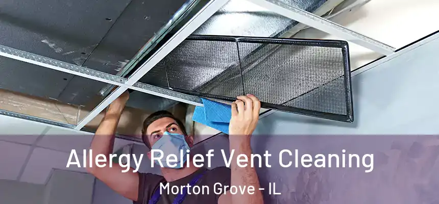 Allergy Relief Vent Cleaning Morton Grove - IL
