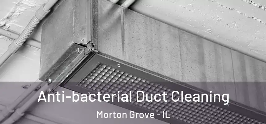  Anti-bacterial Duct Cleaning Morton Grove - IL