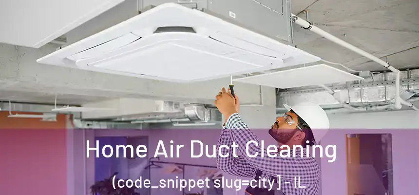  Home Air Duct Cleaning (code_snippet slug=city] - IL