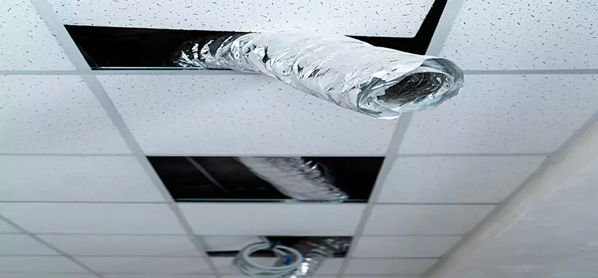 Affordable HVAC Sanitizing After Pest Removal in Morton Grove