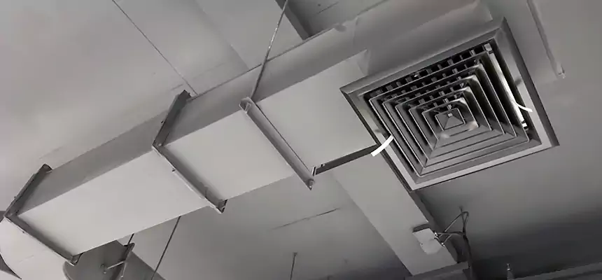 Restorative Allergy Relief Vent Cleaning – Coil, Blower & Housing Detail in Morton Grove