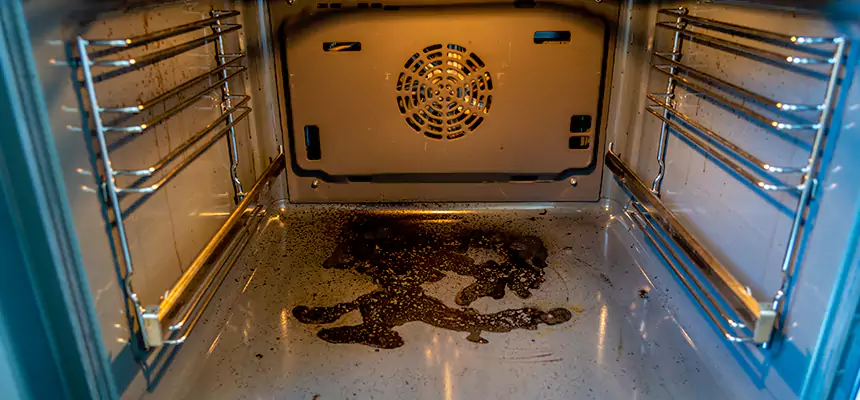 Our Dryer Vent Mold Cleaning Services in Morton Grove, IL