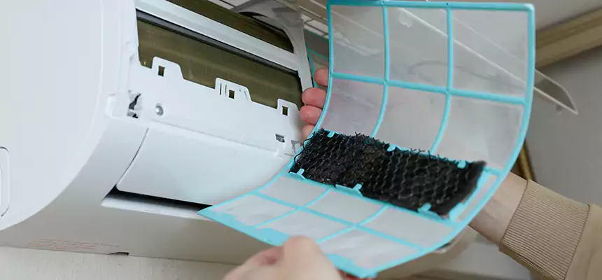 Gentle Ductwork Odor-Control Pet Dander Duct Cleaning in Morton Grove, IL