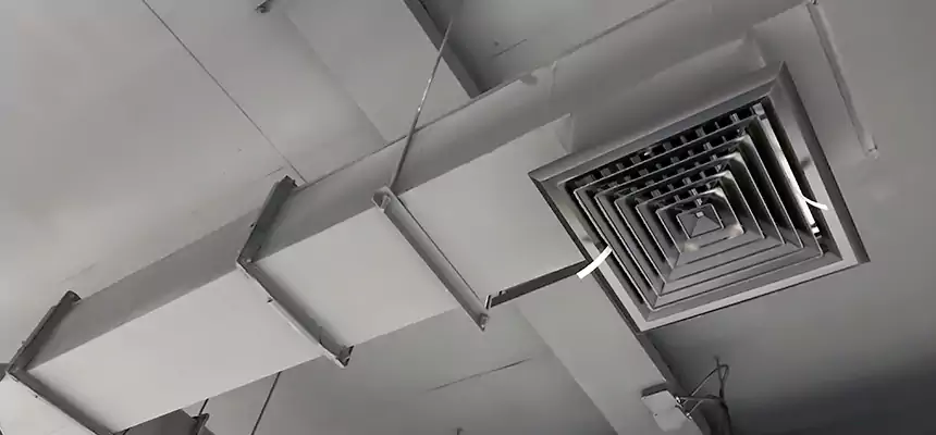 Our Rodent Droppings In Vents Services in Morton Grove, IL