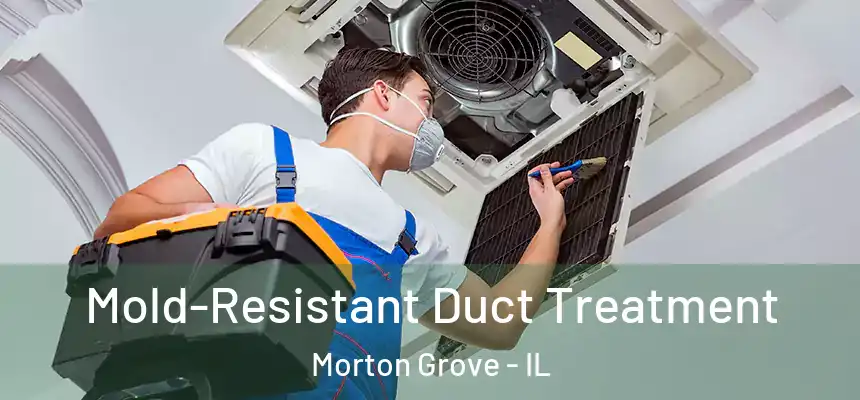  Mold-Resistant Duct Treatment Morton Grove - IL
