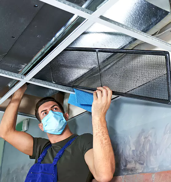 Professional Air Duct Pollen Cleaning in Morton Grove, IL