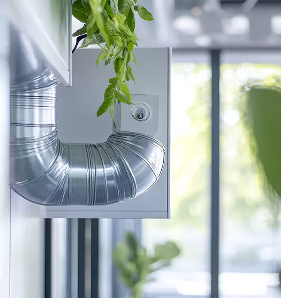 Professional Eco-Safe Dryer Vent Cleaning in Morton Grove, IL