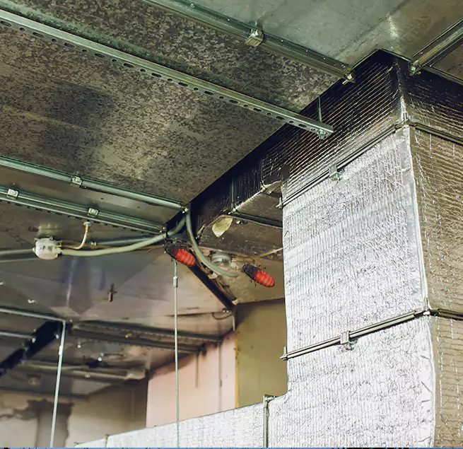 Why Homeowners & Businesses Trust Us in Morton Grove, IL?