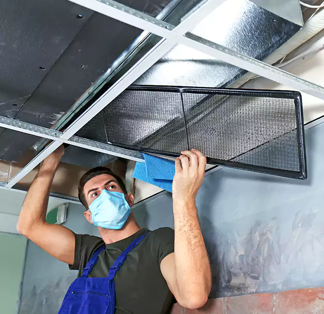 Why Homeowners Businesses Trust Us in Morton Grove, IL