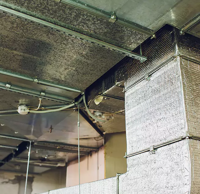 Why Homeowners & Businesses Trust Us in Morton Grove, IL?