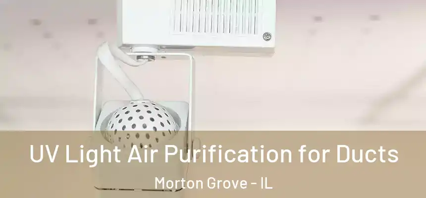  UV Light Air Purification for Ducts Morton Grove - IL